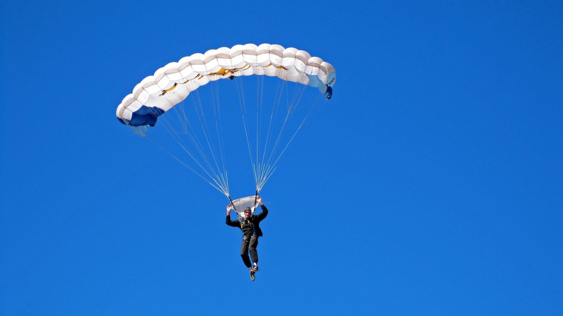 福克斯撕裂黄蜂，当老鹰的翅膀提前终结悬念